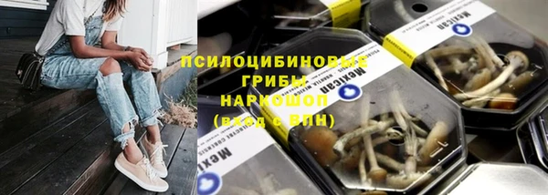 спиды Армянск