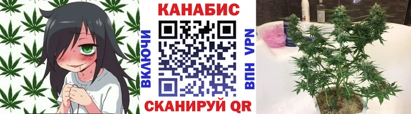 Шишки марихуана семена  Красково 